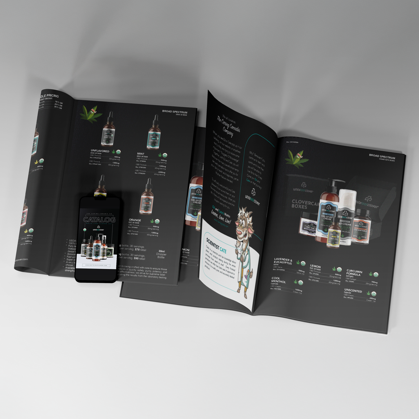 Catalog Layout + Design